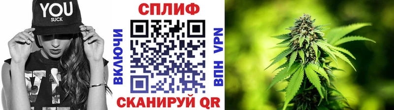 Купить где  Балашов  Конопля сатива 